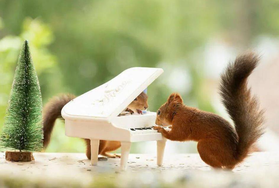 成熟的双子座有多优秀，双子座有什么优点