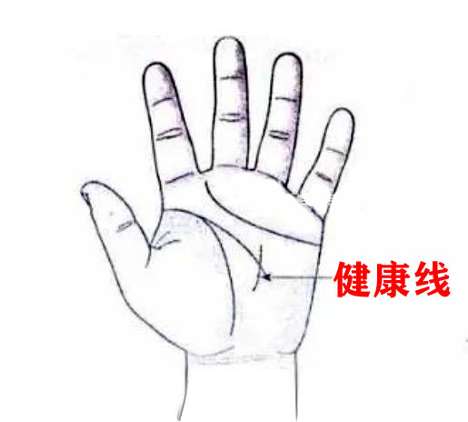 掌纹健康线：解读身体健康密码