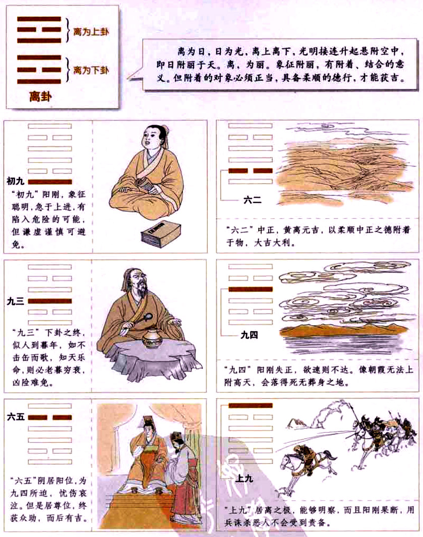 离卦:有所依托,柔顺中庸