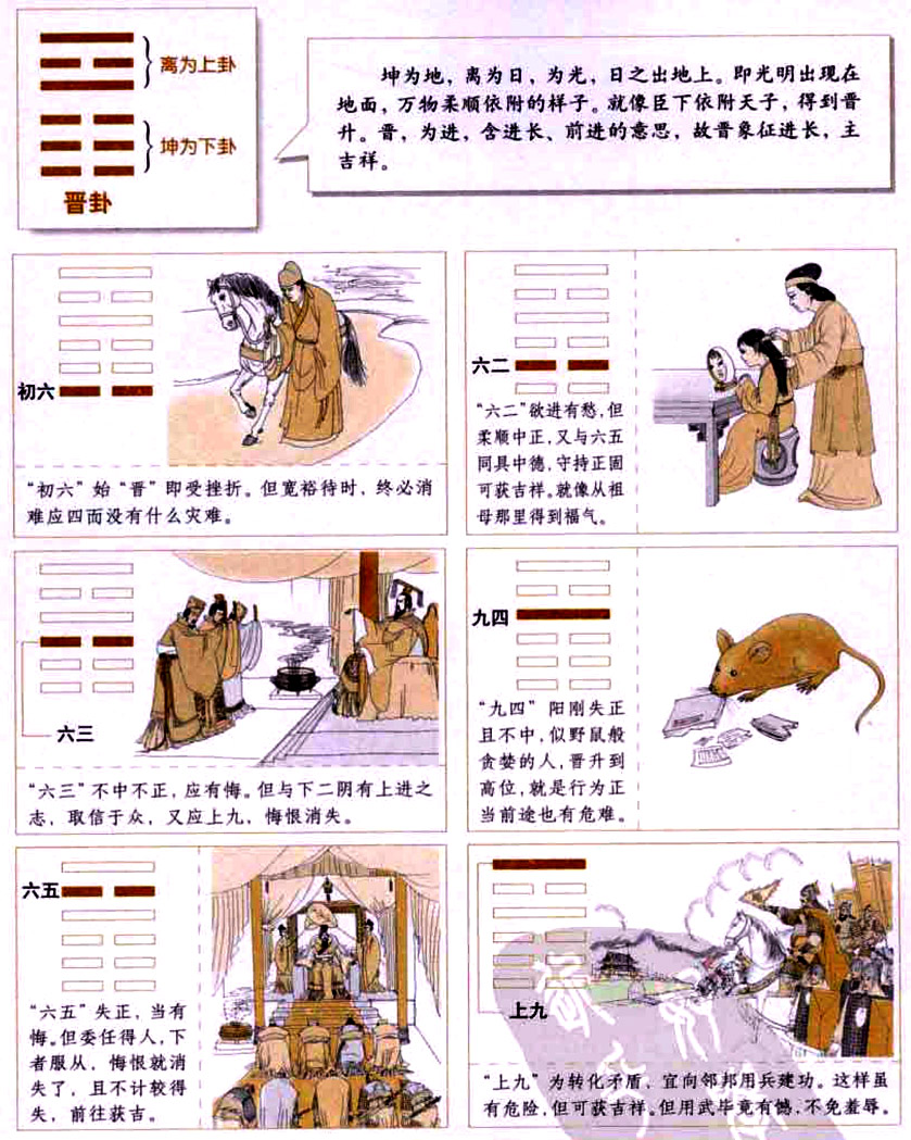 【自学易经之35卦】晋卦：依附明君，飞黄腾达