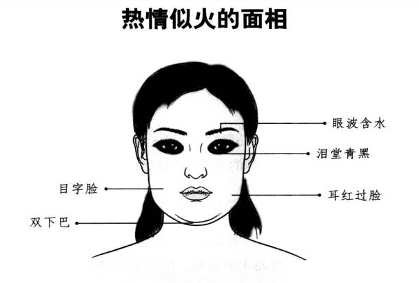 从面相上能看出谁是交际花吗?