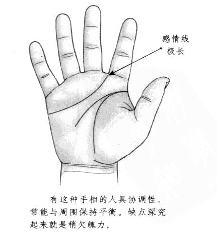 (1)手掌中感情线极长
