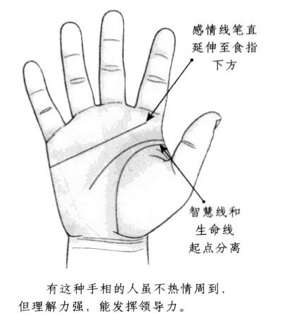 感情线笔直延伸至食指下方，智慧线和生命线起点分离