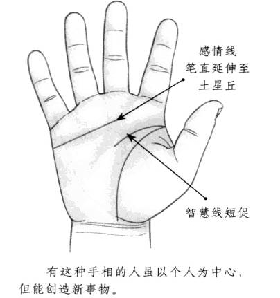 智慧线短促，感情线笔直延伸到达土星丘部位