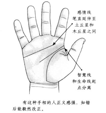 感情线笔直延伸至木星丘和土星丘之间，智慧线和生命线起点相互分离 ...