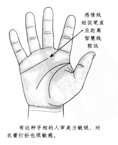 感情线长度很短，形态笔直且距离智慧线较远