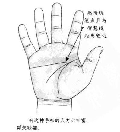 感情线笔直，且与智慧线距离较近