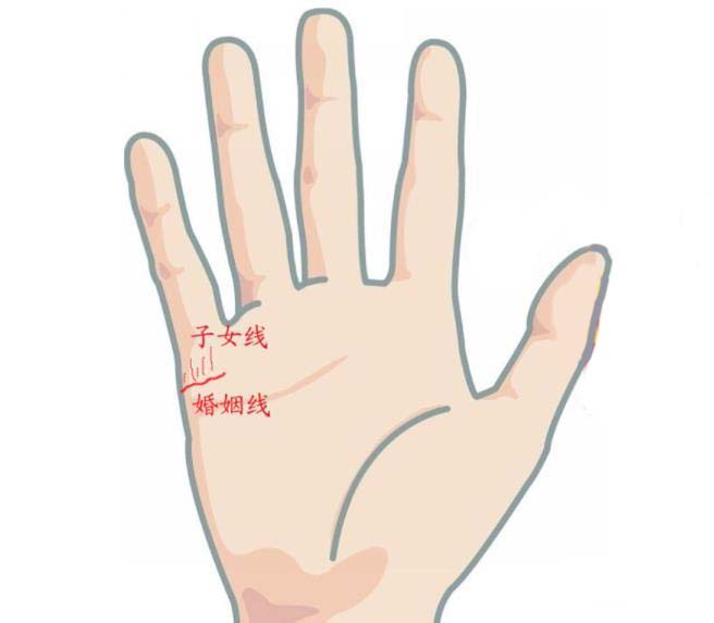 怎样从手纹中看出生育能力是否强?