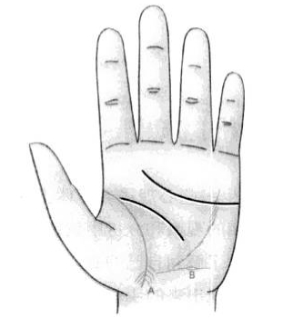 身体健不健康看看手相就知道吗?