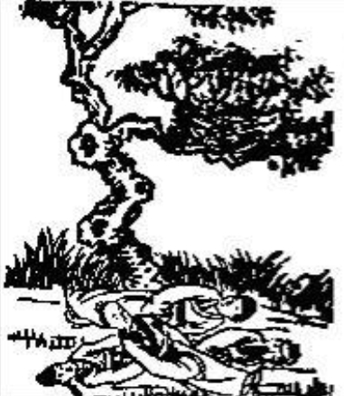 《推背图》第九象　壬申乾下离上大有