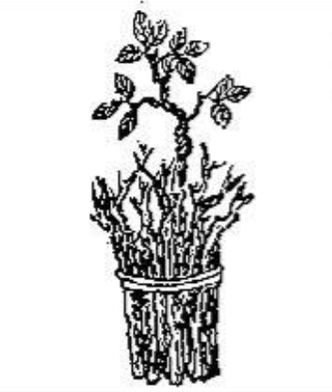 《推背图》第十四象　丁丑离下兑上革