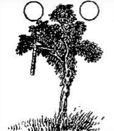 《推背图》第27象:庚寅乾下震上豫