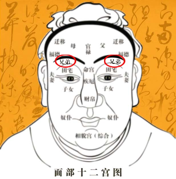 女性兄弟宫长痣代表什么