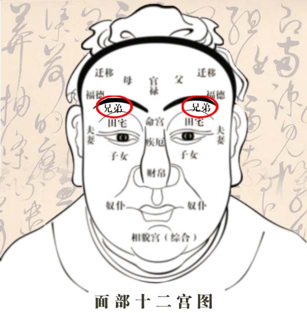 男性兄弟宫长痣代表什么
