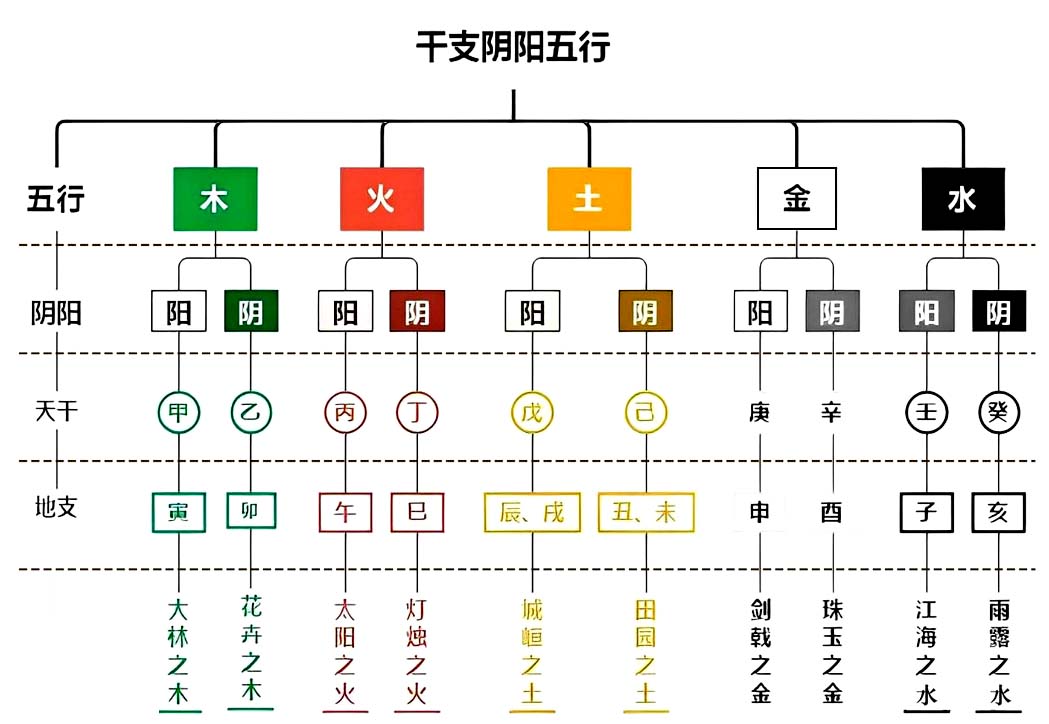 八字自学第一课：天干地支、阴阳五行、四柱十神