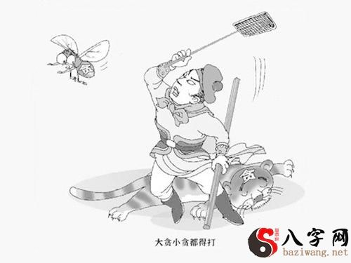 梦见打好多苍蝇