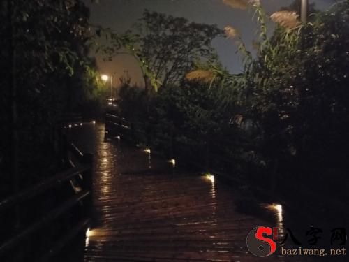 梦见夜晚独自行走