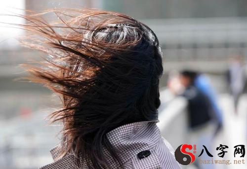 梦见吹很大的风