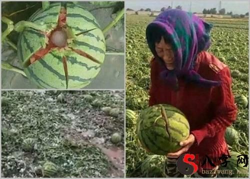 梦见自己被冰雹砸伤